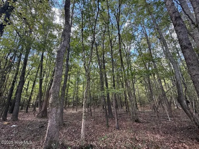 $379,900 | 1945 Bolton Road, Rich Square, NC 27869