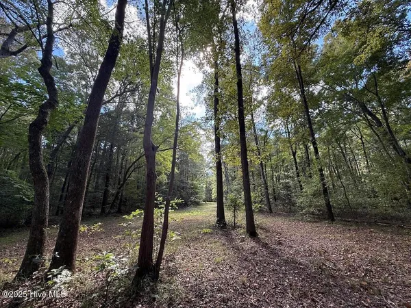 $360,000 | 1945 Bolton Road, Rich Square, NC 27869