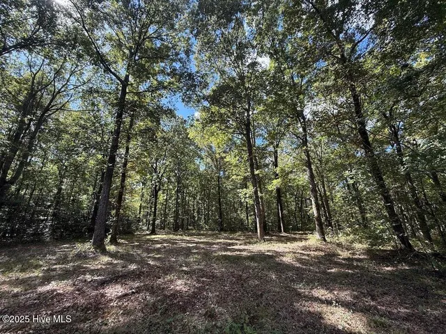 $379,900 | 1945 Bolton Road, Rich Square, NC 27869