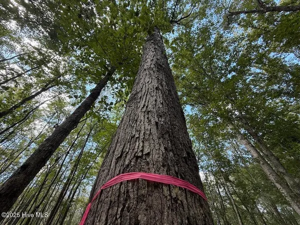 $360,000 | 1945 Bolton Road, Rich Square, NC 27869