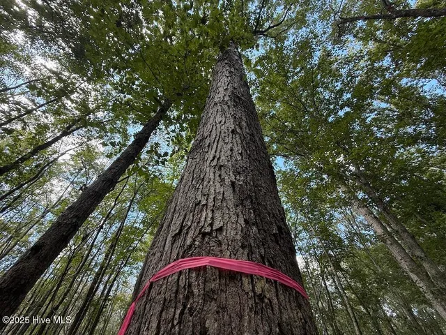 $379,900 | 1945 Bolton Road, Rich Square, NC 27869