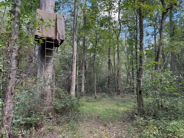$360,000 | 1945 Bolton Road, Rich Square, NC 27869