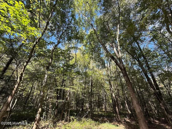 $360,000 | 1945 Bolton Road, Rich Square, NC 27869