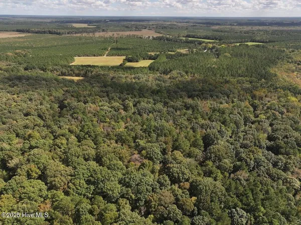 $360,000 | 1945 Bolton Road, Rich Square, NC 27869