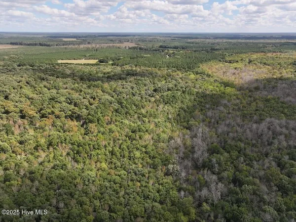 $360,000 | 1945 Bolton Road, Rich Square, NC 27869