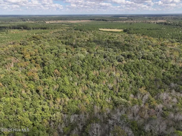 $360,000 | 1945 Bolton Road, Rich Square, NC 27869