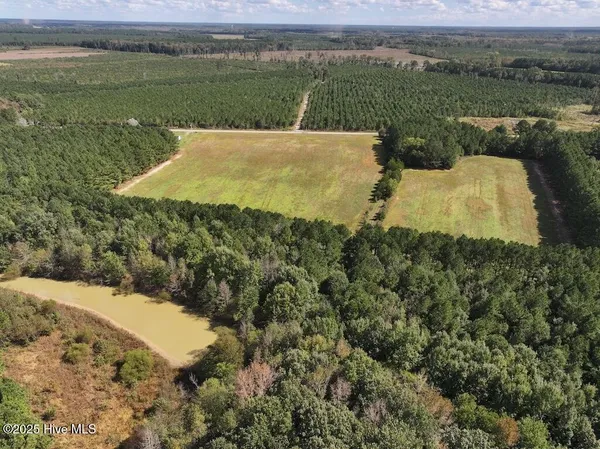 $360,000 | 1945 Bolton Road, Rich Square, NC 27869
