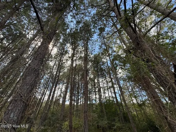 $360,000 | 1945 Bolton Road, Rich Square, NC 27869