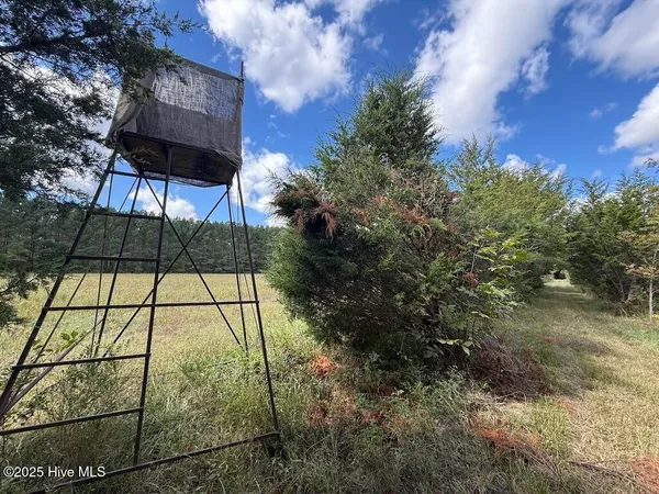 $360,000 | 1945 Bolton Road, Rich Square, NC 27869