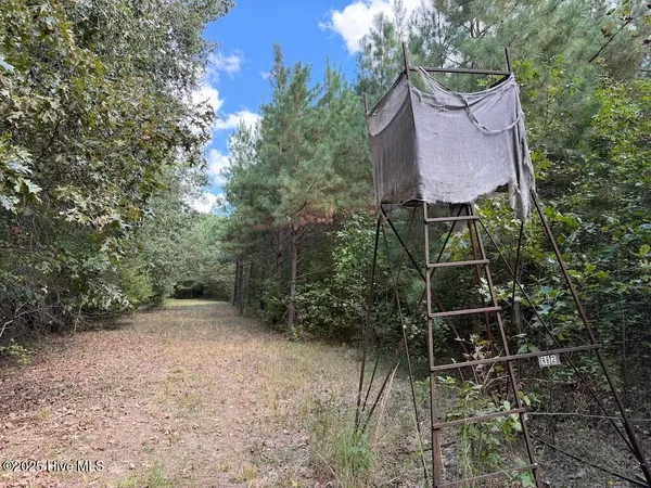 $360,000 | 1945 Bolton Road, Rich Square, NC 27869