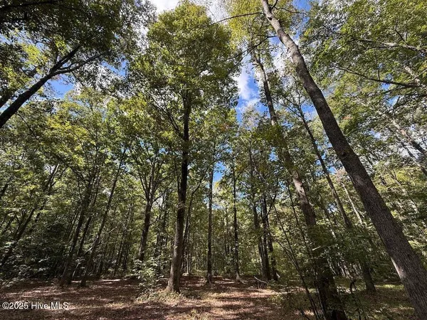 $360,000 | 1945 Bolton Road, Rich Square, NC 27869