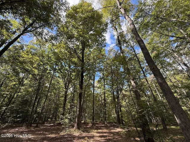 $379,900 | 1945 Bolton Road, Rich Square, NC 27869