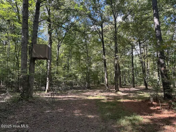 $360,000 | 1945 Bolton Road, Rich Square, NC 27869