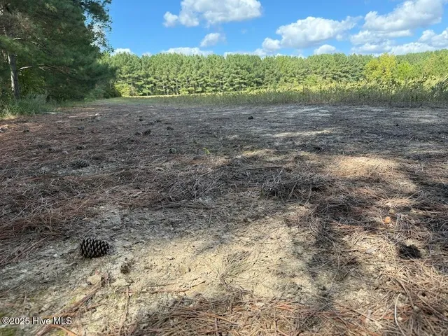 $379,900 | 1945 Bolton Road, Rich Square, NC 27869