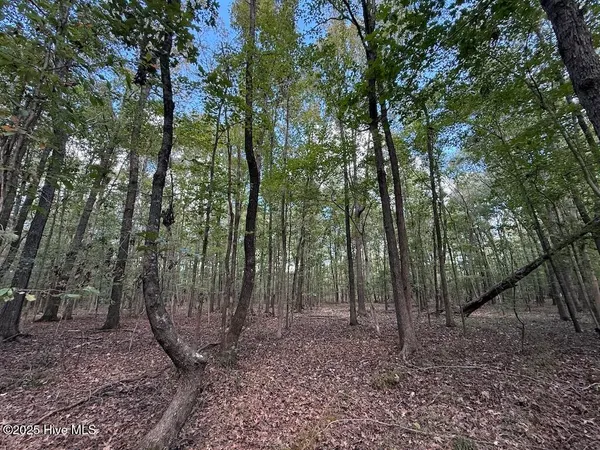 $360,000 | 1945 Bolton Road, Rich Square, NC 27869
