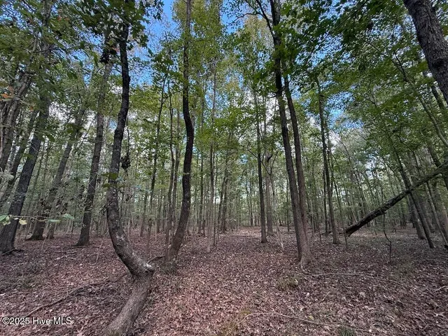 $379,900 | 1945 Bolton Road, Rich Square, NC 27869