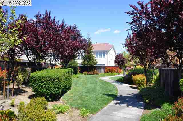 505 Weiner Way San Ramon, CA 94582 - Photo 2 of 9