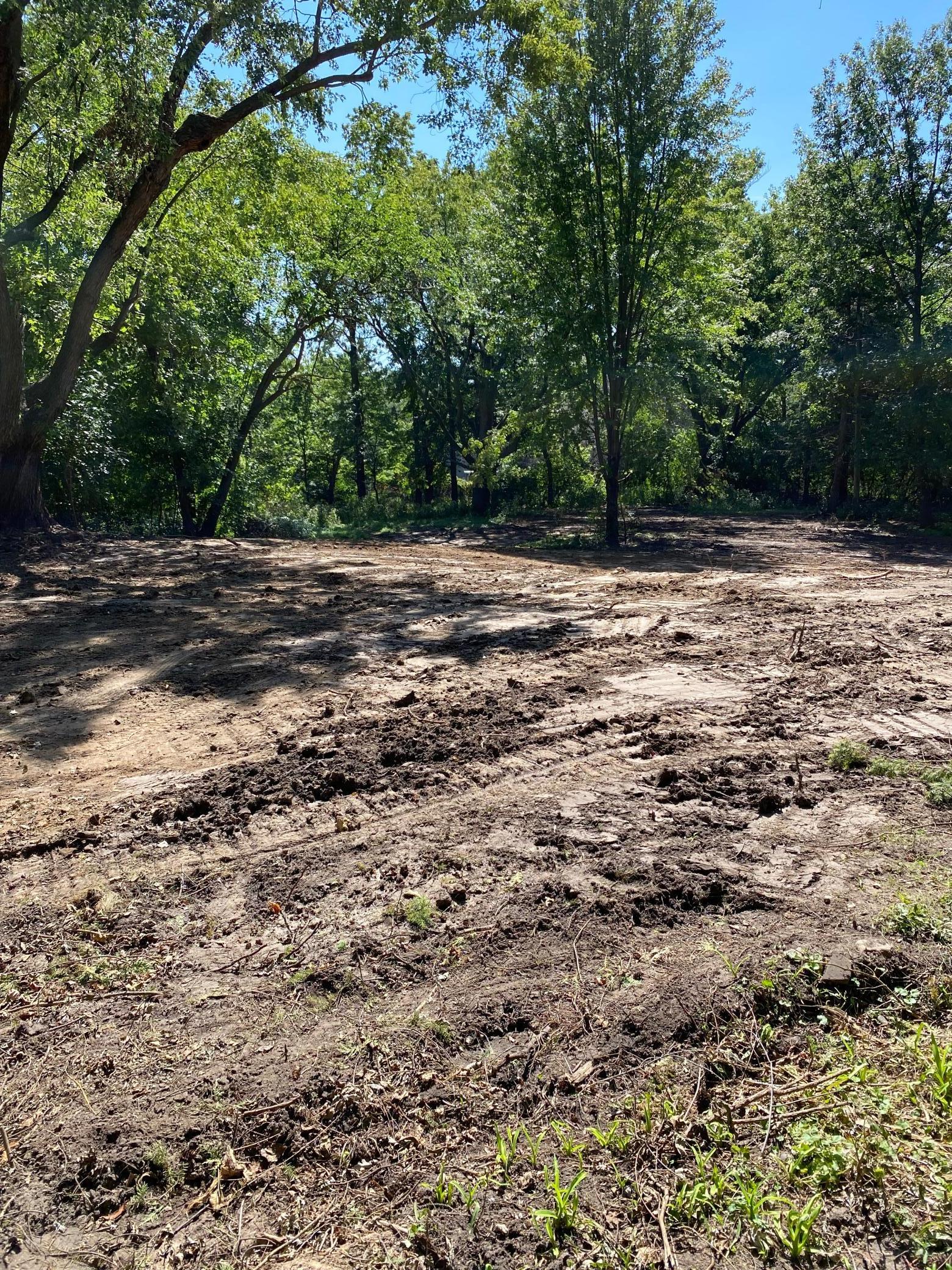 14819 Cherry Lane Minnetonka, MN 55345 - Photo 4 of 5