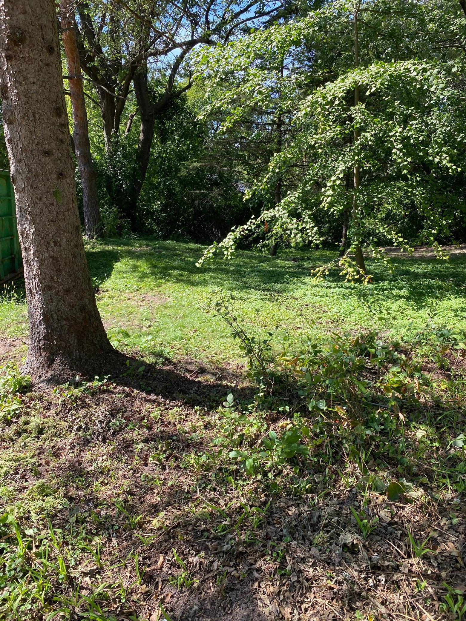 14819 Cherry Lane Minnetonka, MN 55345 - Photo 5 of 5