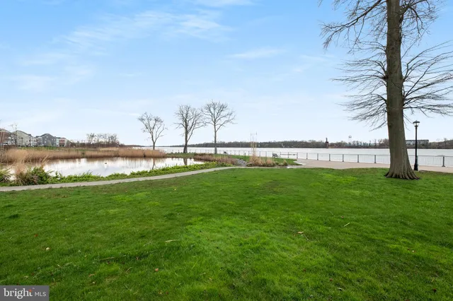 a view of a lake with houses in the background