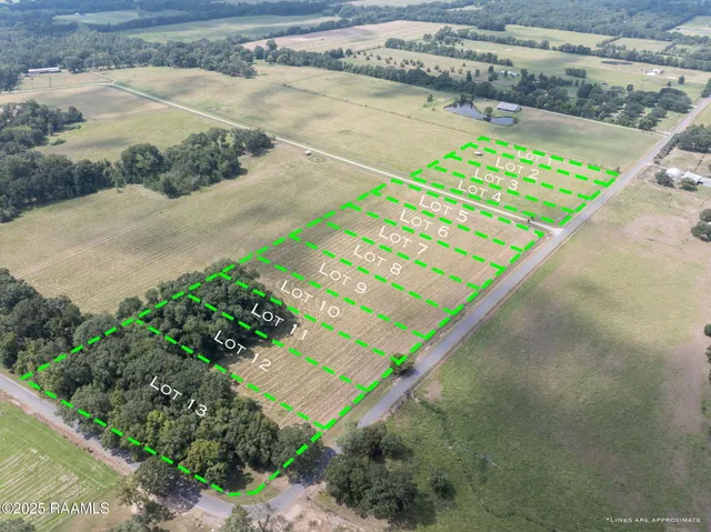 $100,000 | Tbd Begnaud Road, Unit LOT 7, Sunset, LA 70584