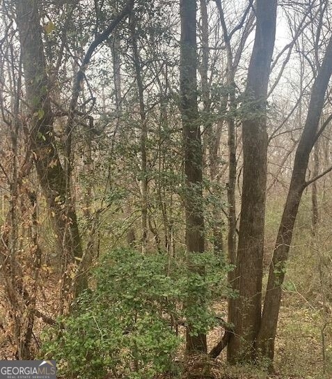 0 Jack Pittman Road Monroe, GA 30019 - Photo 12 of 12