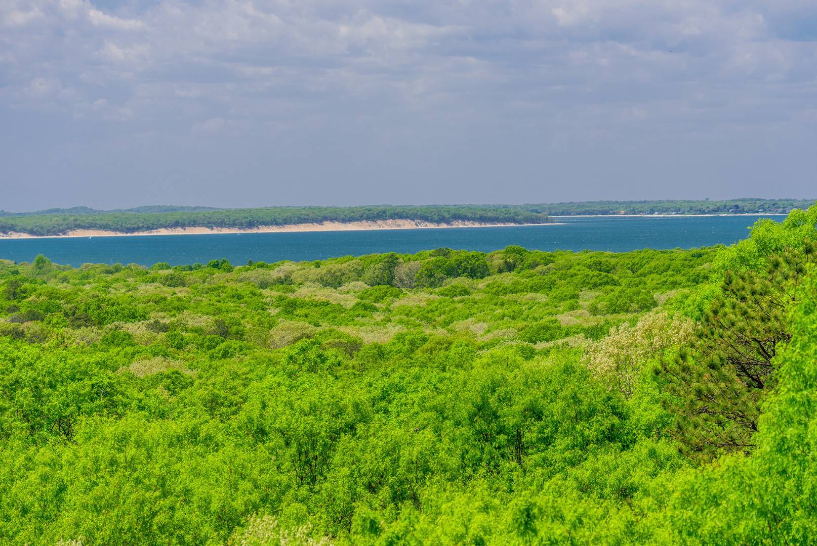 28 Deer Ridge Trail Water Mill, NY 11976 - Photo 4 of 23