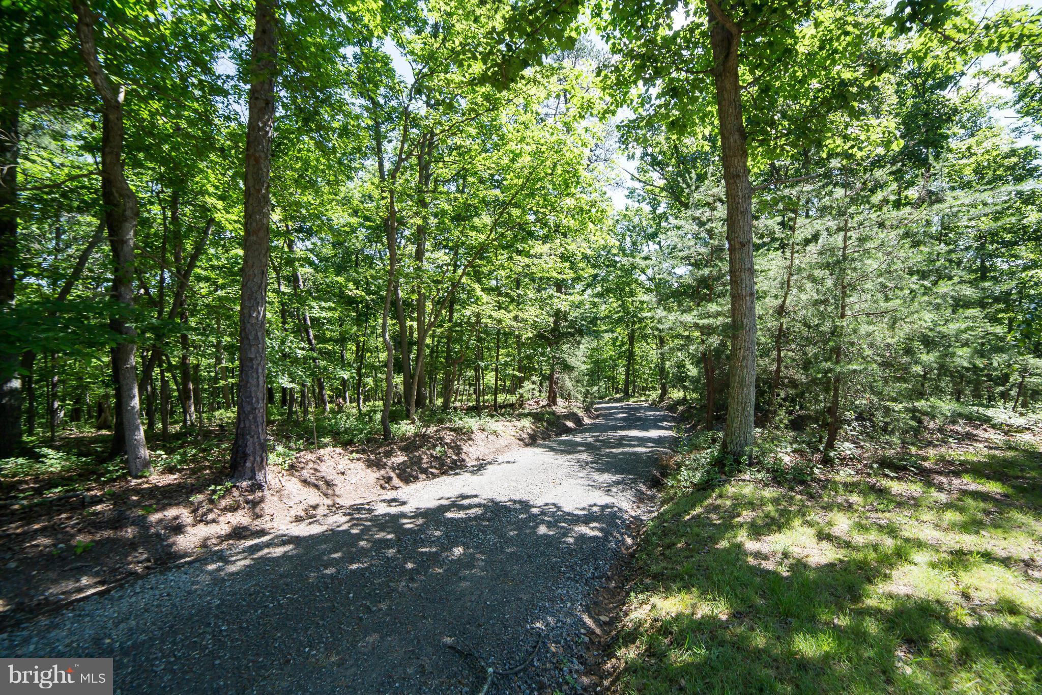 24115 New Mountain Road Aldie, VA 20105 - Photo 3 of 28 Exterior (General)