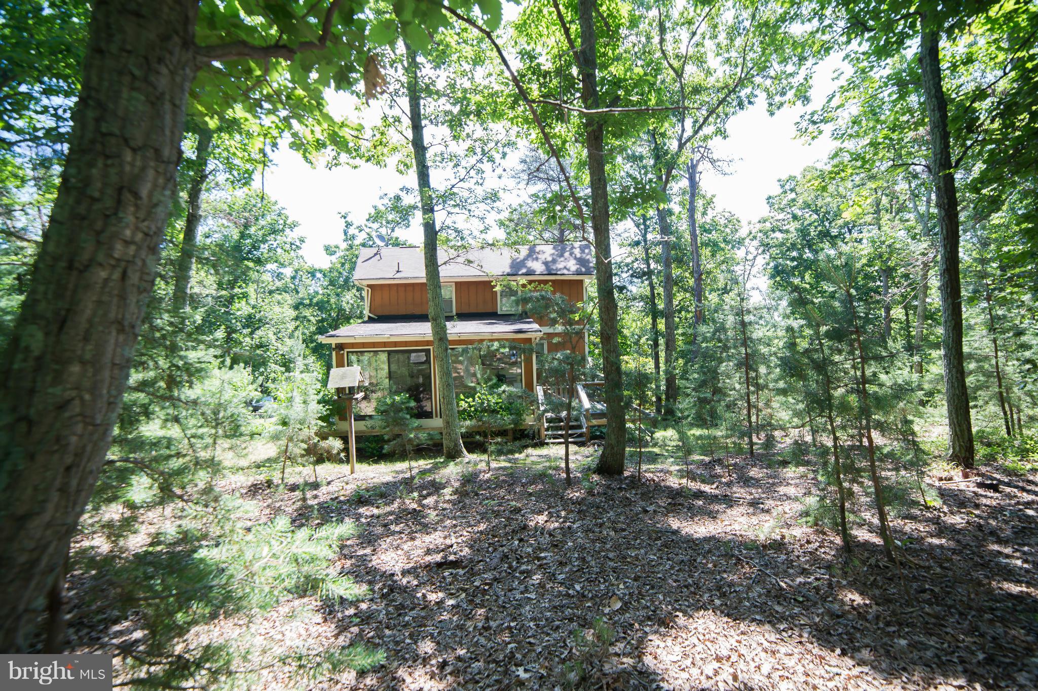 24115 New Mountain Road Aldie, VA 20105 - Photo 21 of 28 Exterior (Rear)