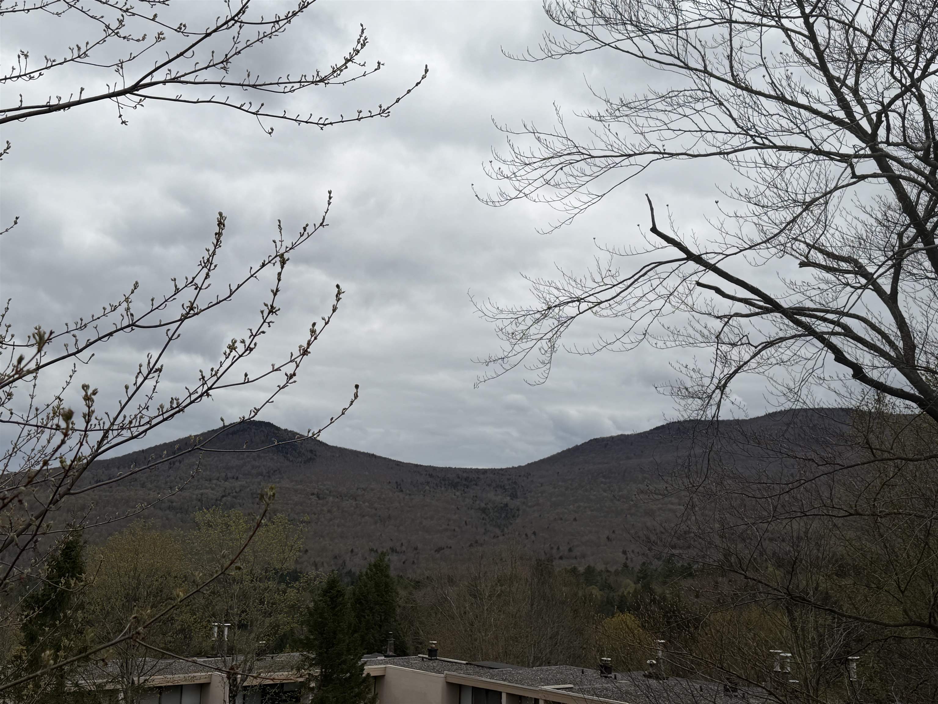 1275 Notchbrook Road, Unit 20 AB Stowe, VT 05672 - Photo 26 of 35