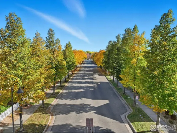 a view of a yard along with trees