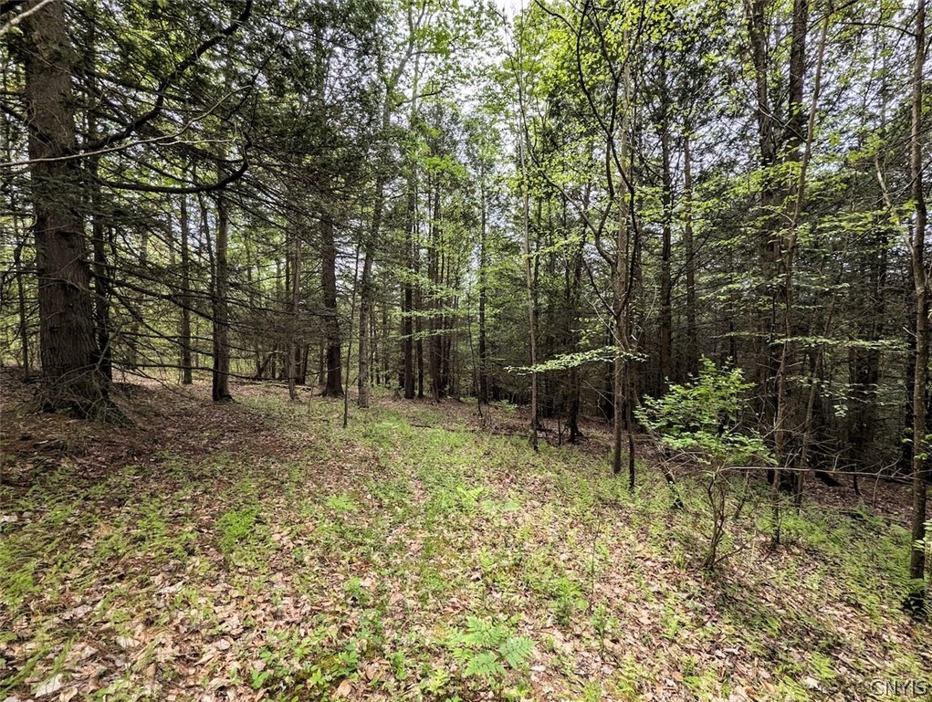 Stewart Road Addison, NY 14801 - Photo 14 of 29