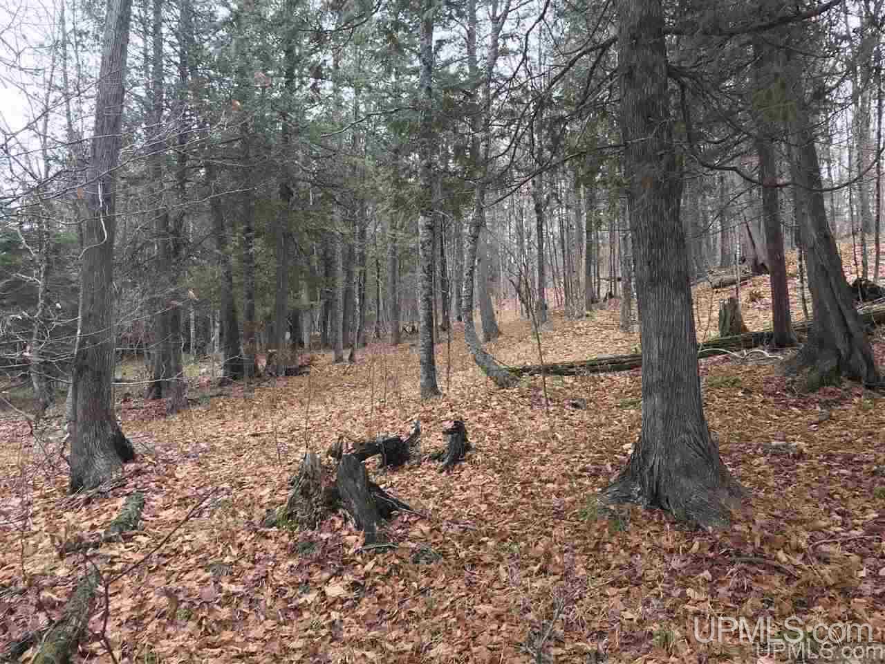 Tbd Off River Road, Unit 2 Hermansville, MI 49847 - Photo 20 of 34