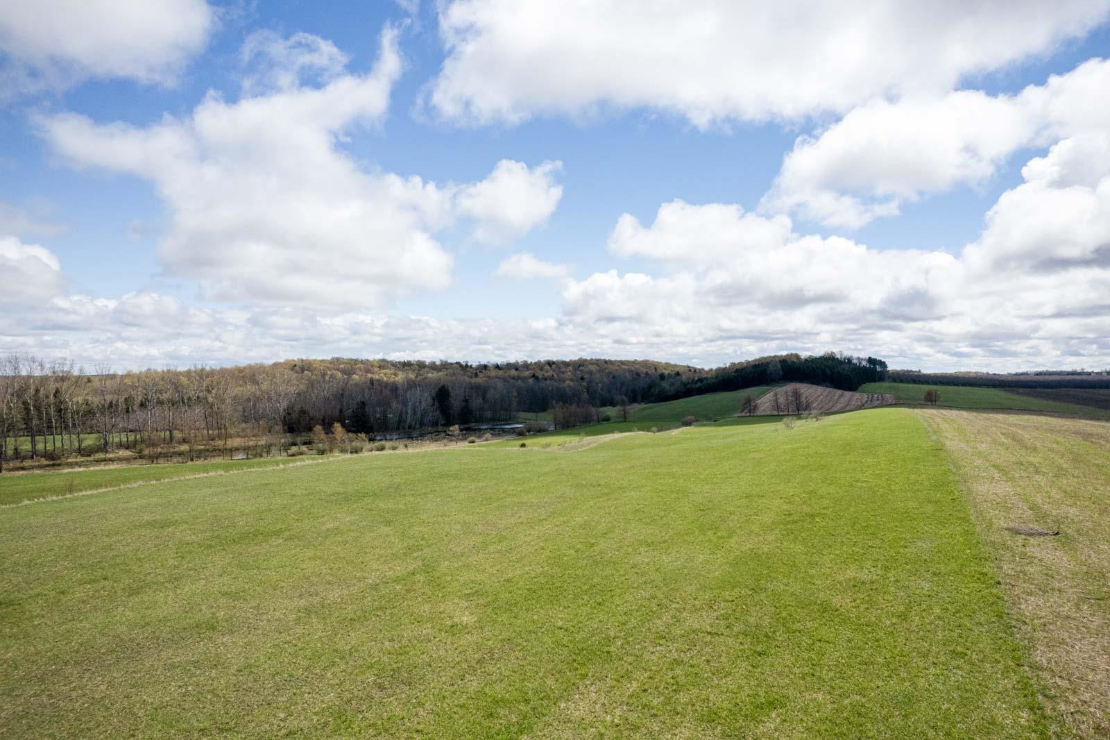 4331 South French Road Cedar, MI 49621 - Photo 48 of 52