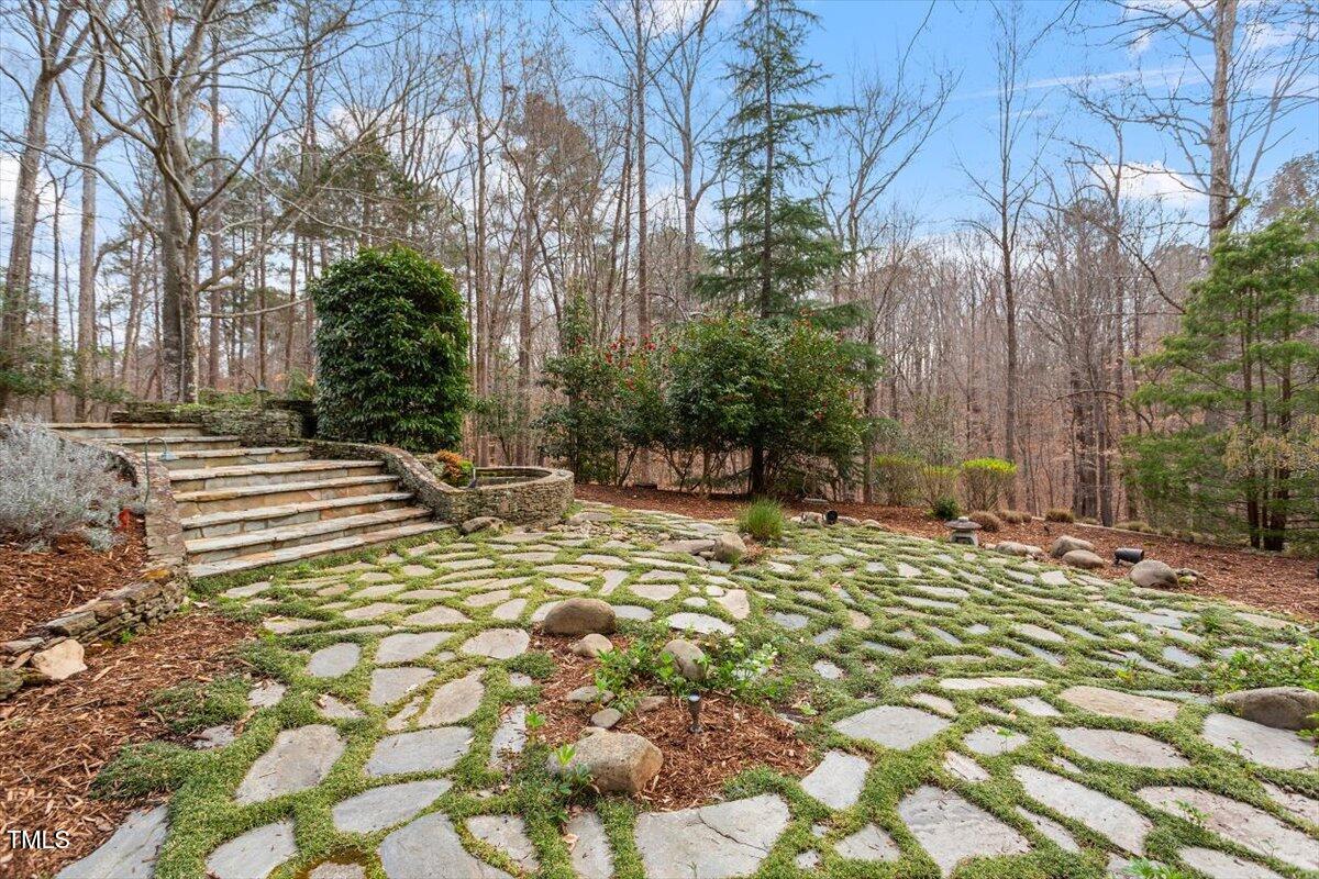 10729 Trego Trail Raleigh, NC 27614 - Photo 54 of 65 a view of a yard with plants and trees