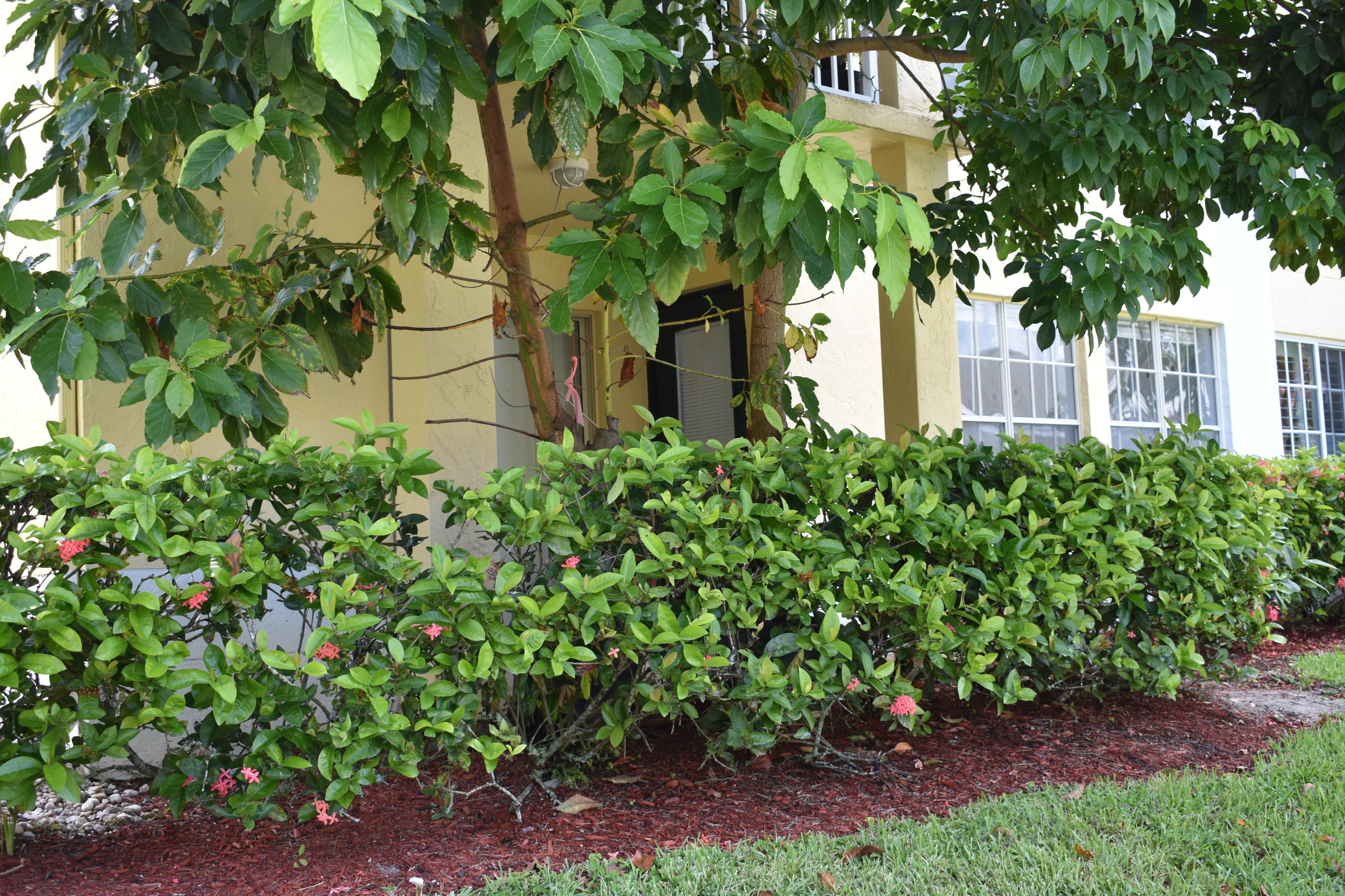 6355 La Costa Drive, Unit D Boca Raton, FL 33433 - Photo 2 of 7 back covered patio