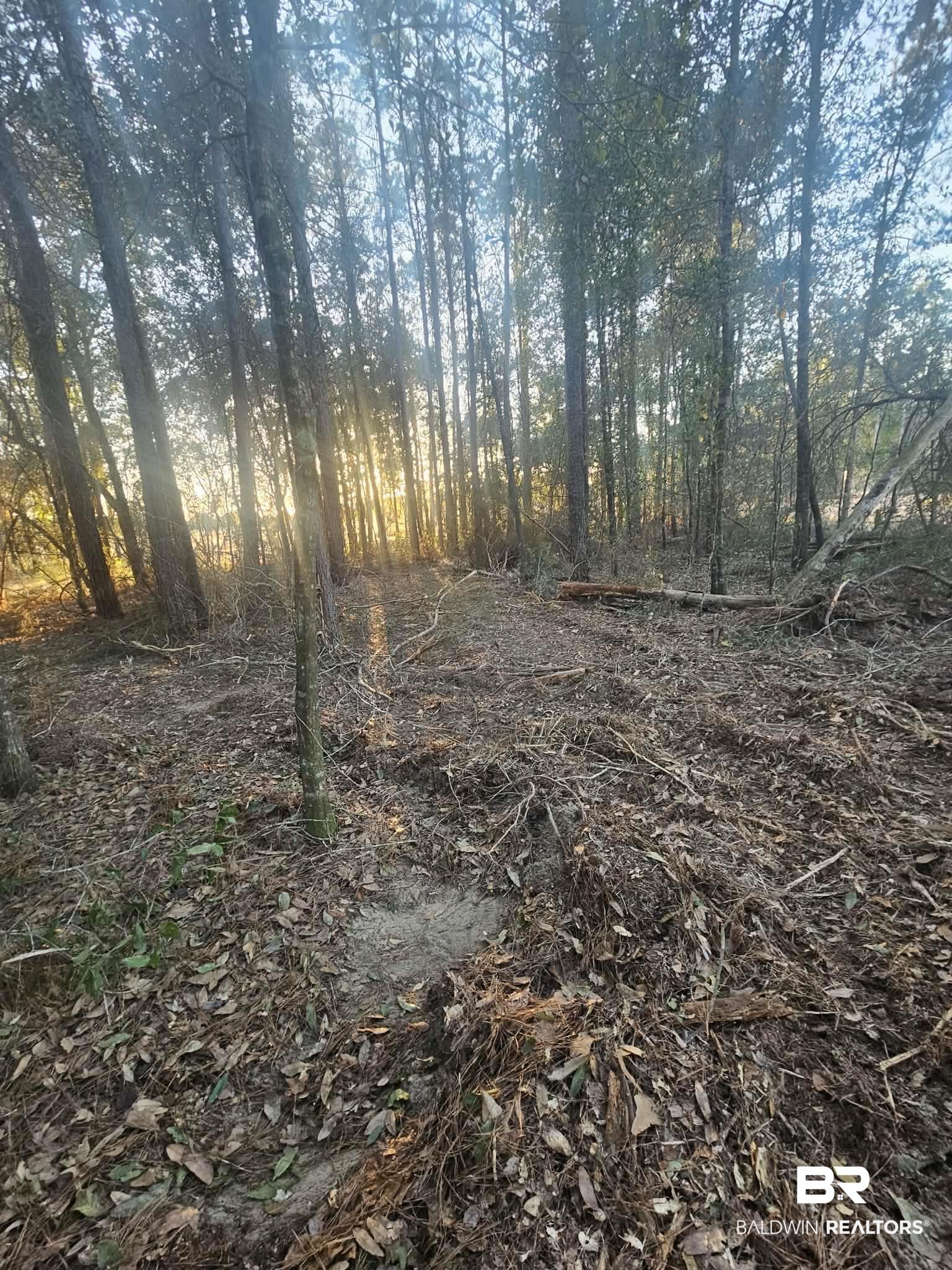 0 Gardner Road Elberta, AL 36530 - Photo 7 of 9