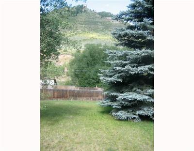 172 Main Street Minturn, CO 81645 - Photo 2 of 3 a view of a garden with a bench