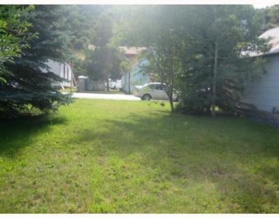 172 Main Street Minturn, CO 81645 - Photo 3 of 3 a view of a yard