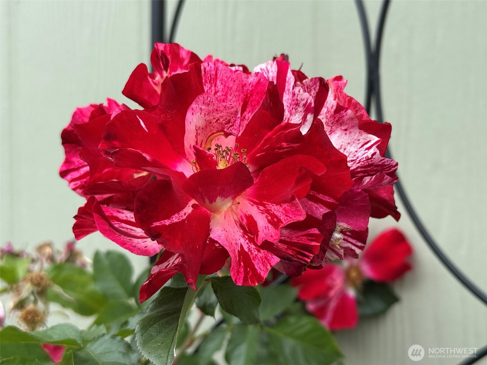 734 West Heritage Loop Sequim, WA 98382 - Photo 32 of 40