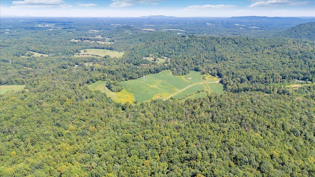 5741 Providence Church Road Ferrum, VA 24088 - Photo 11 of 52 a view of a big yard with green space