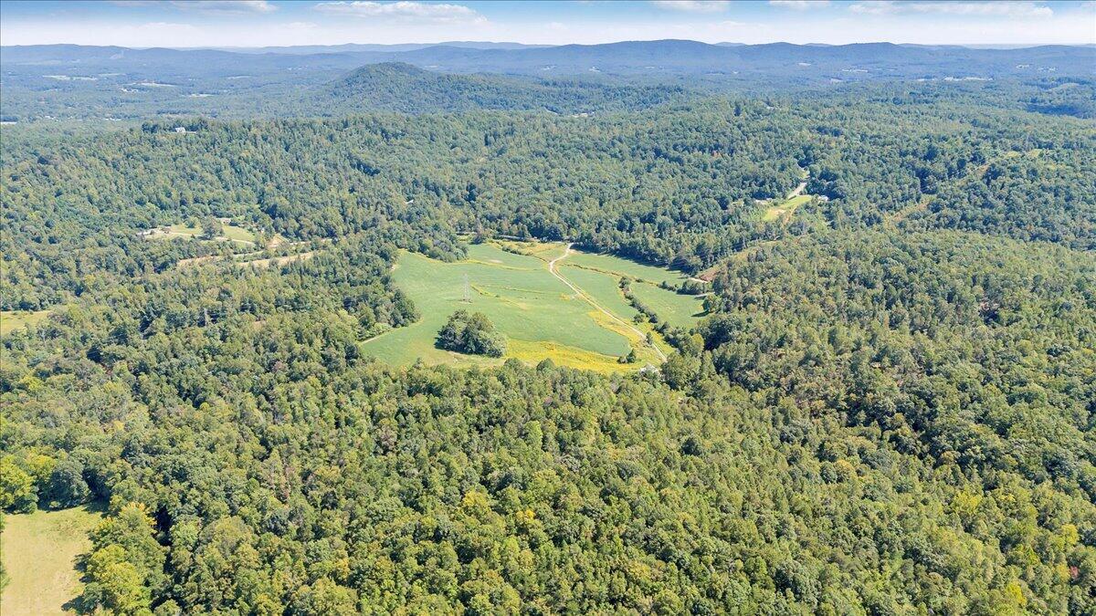 5741 Providence Church Road Ferrum, VA 24088 - Photo 13 of 52 a view of a lush green hillside and a building