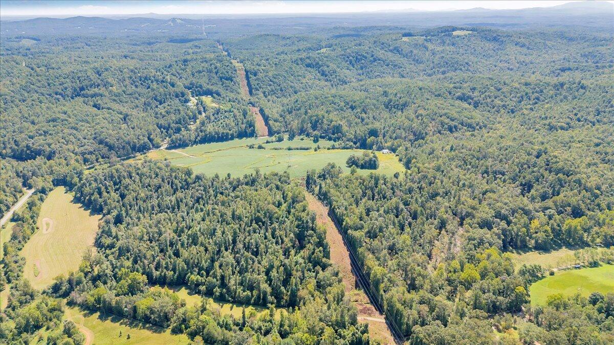 5741 Providence Church Road Ferrum, VA 24088 - Photo 15 of 52 a view of a lush green field with tall trees