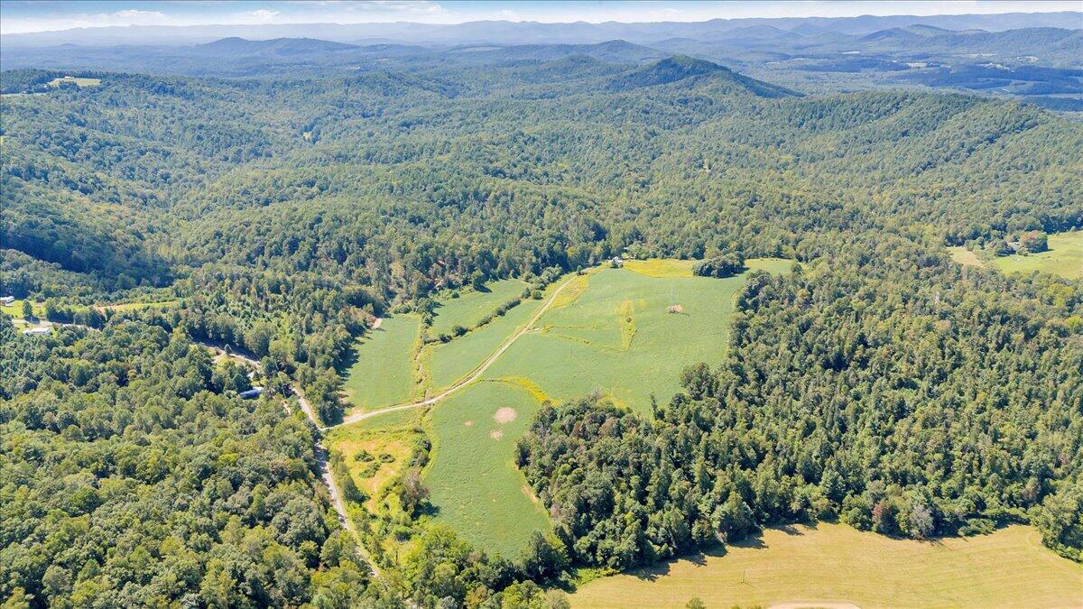 5741 Providence Church Road Ferrum, VA 24088 - Photo 17 of 52 a view of a lush green forest with a lake and mountain view