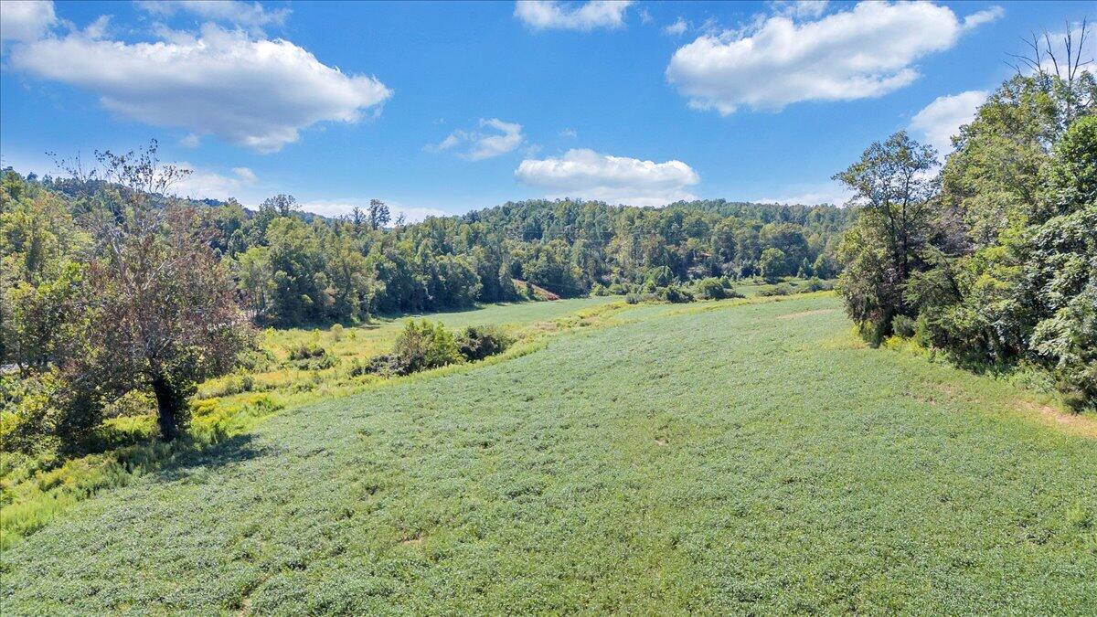 5741 Providence Church Road Ferrum, VA 24088 - Photo 18 of 52 a view of a yard with a tree