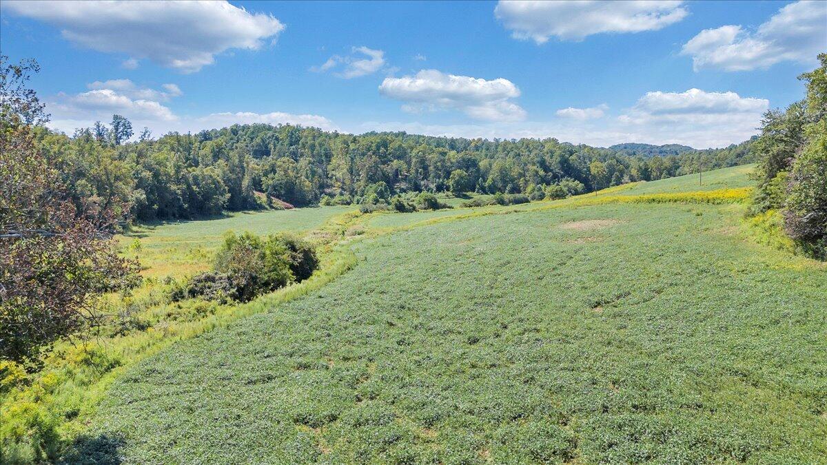 5741 Providence Church Road Ferrum, VA 24088 - Photo 19 of 52 a view of a field with an trees