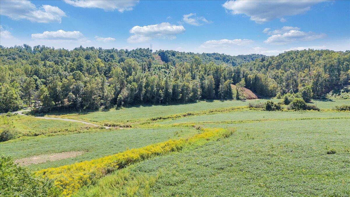 5741 Providence Church Road Ferrum, VA 24088 - Photo 20 of 52 a view of a field