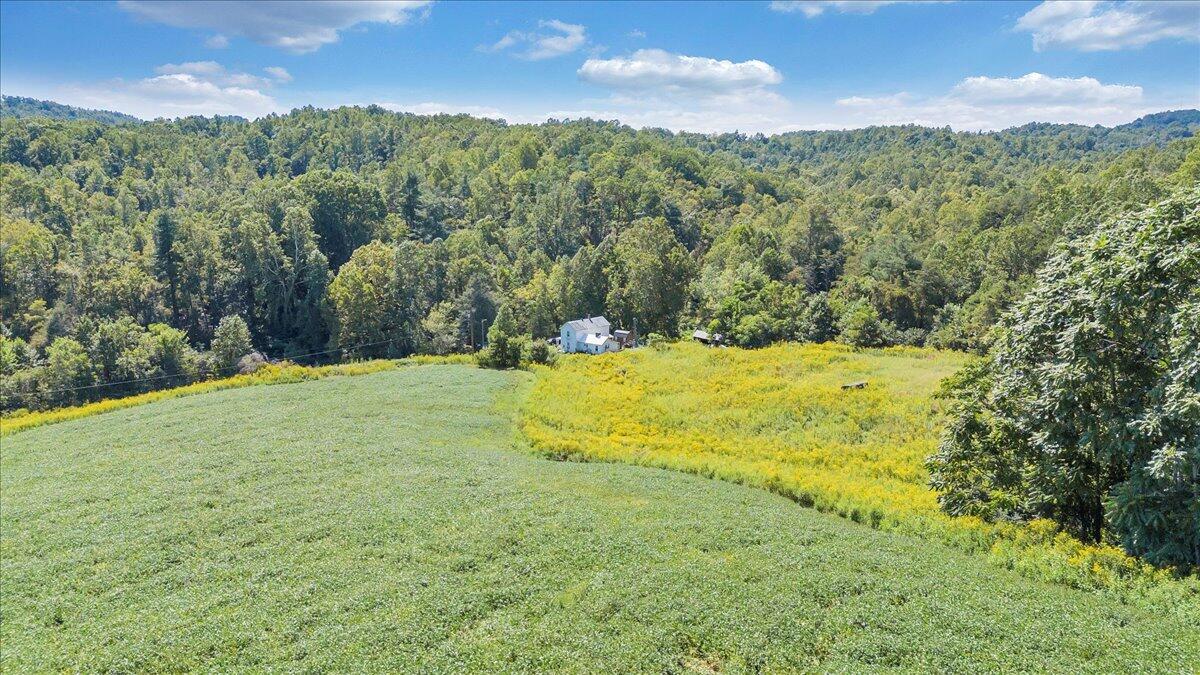 5741 Providence Church Road Ferrum, VA 24088 - Photo 21 of 52 a view of a yard with an trees