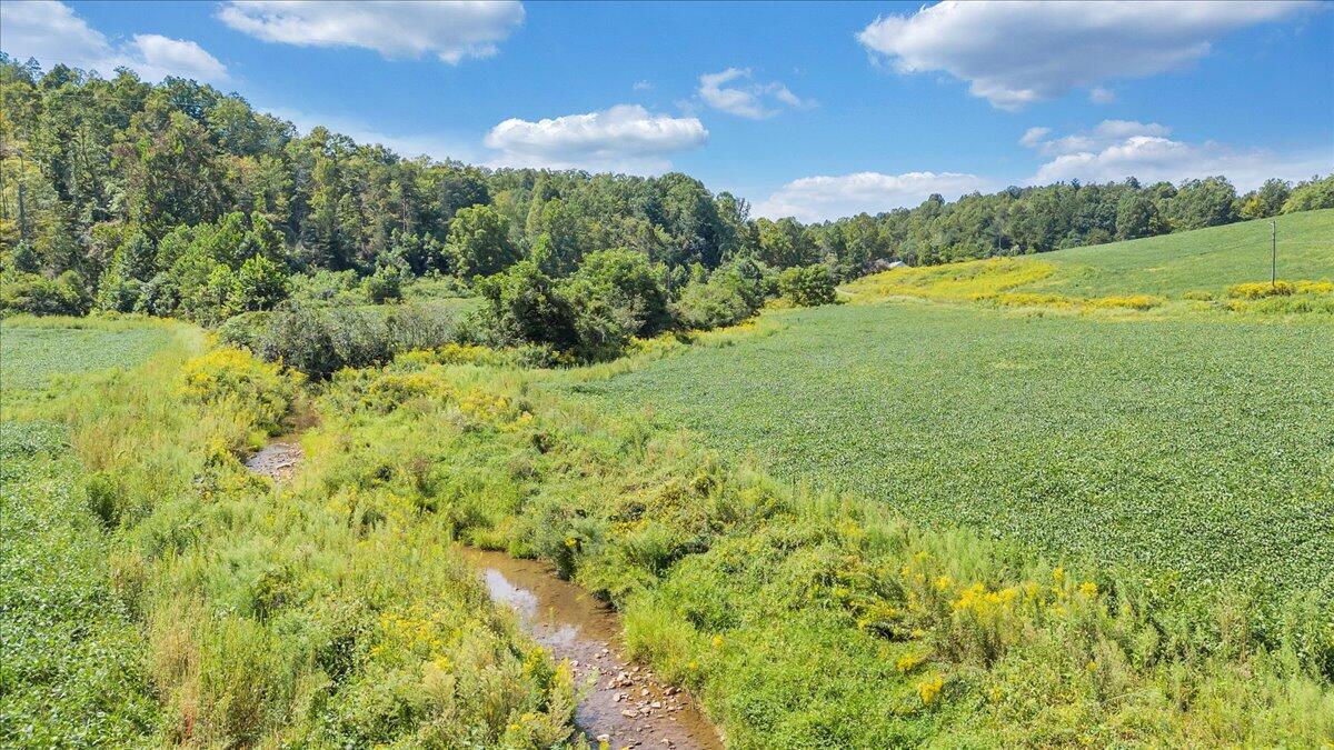 5741 Providence Church Road Ferrum, VA 24088 - Photo 23 of 52 a view of an outdoor space and a yard