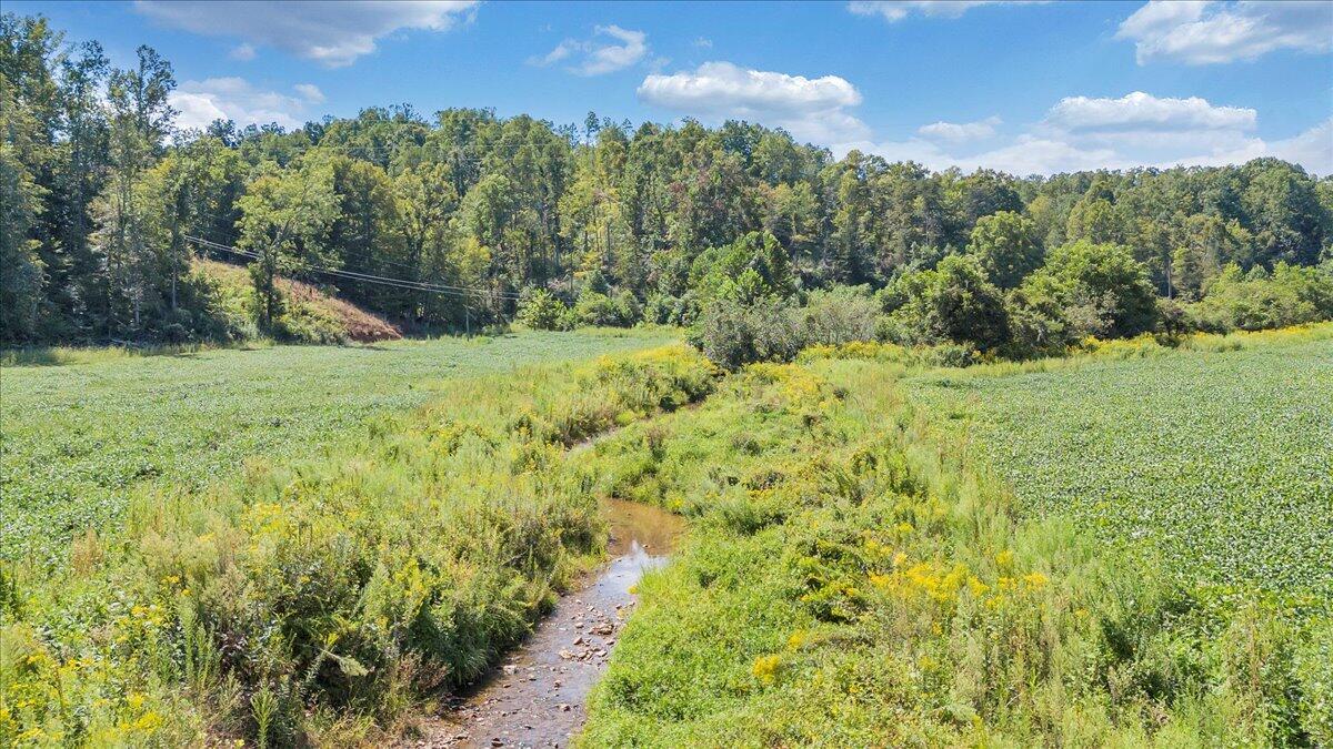 5741 Providence Church Road Ferrum, VA 24088 - Photo 24 of 52 a view of a big yard with green space